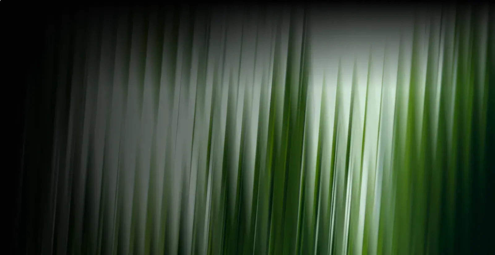 Green gradient background image with white tecture